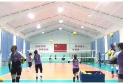 天津女排爆料视频最新版,备战新赛季的幕后故事