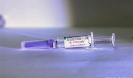 最新爆料新冠疫苗有哪些,揭秘新型疫苗研发动态与突破