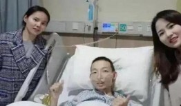 最新爆料杜心枝,揭秘背后惊人真相