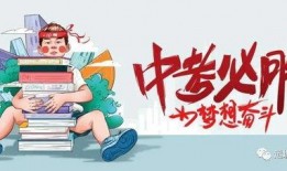 网易比特爆料最新消息,最新科技动态揭秘