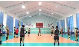 天津女排爆料视频最新版,备战新赛季的幕后故事