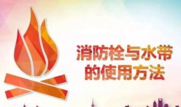 安全突围最新爆料,最新爆料揭示惊心动魄的生死较量